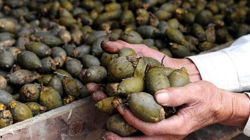 娱乐吃瓜酱找出5个错误